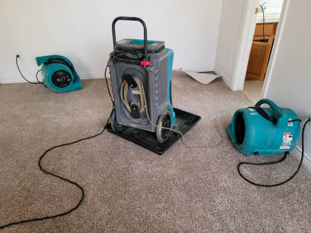 Best Water damage restoration cost  in Kirkland, WA