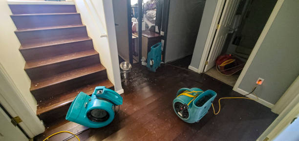 Best 24-hour water damage restoration  in Kirkland, WA