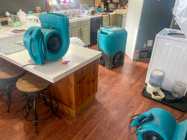 Best Water damage restoration specialists  in Kirkland, WA