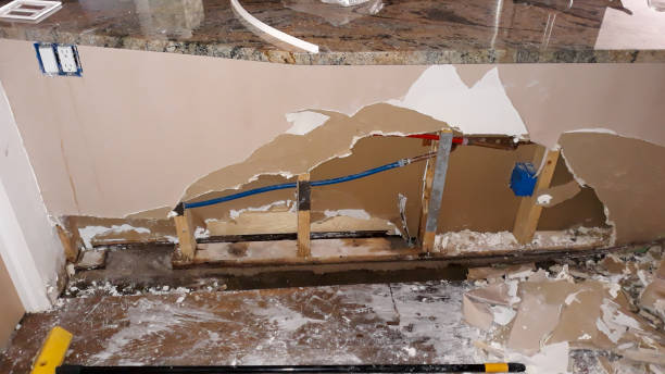 Best Water damage cleanup near me  in Kirkland, WA