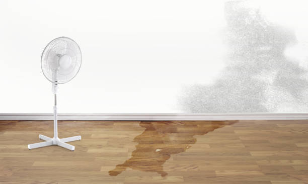Best Water damage restoration near me  in Kirkland, WA