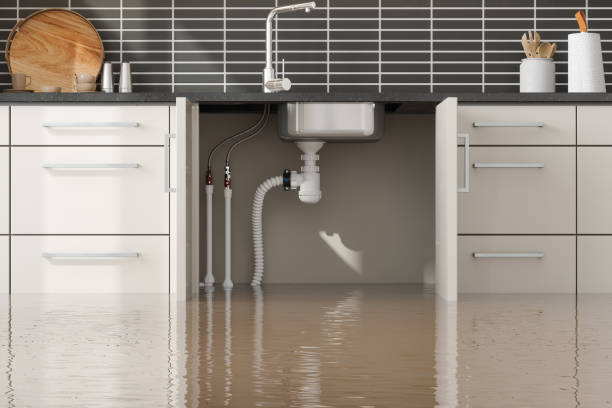 Best Water damage contractors near me  in Kirkland, WA