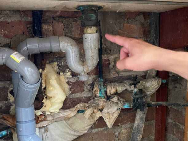  Kirkland, WA Water damage restoration Pros