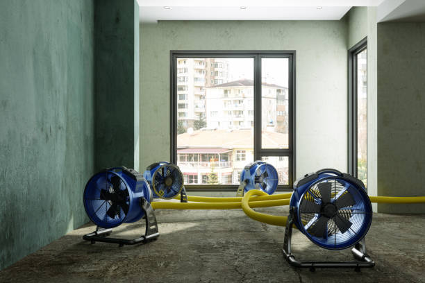 Best 24/7 water damage repair  in Kirkland, WA