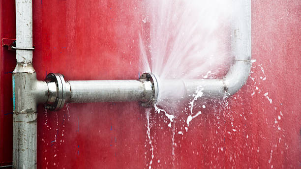 Best Sewage cleanup and water damage restoration  in Kirkland, WA